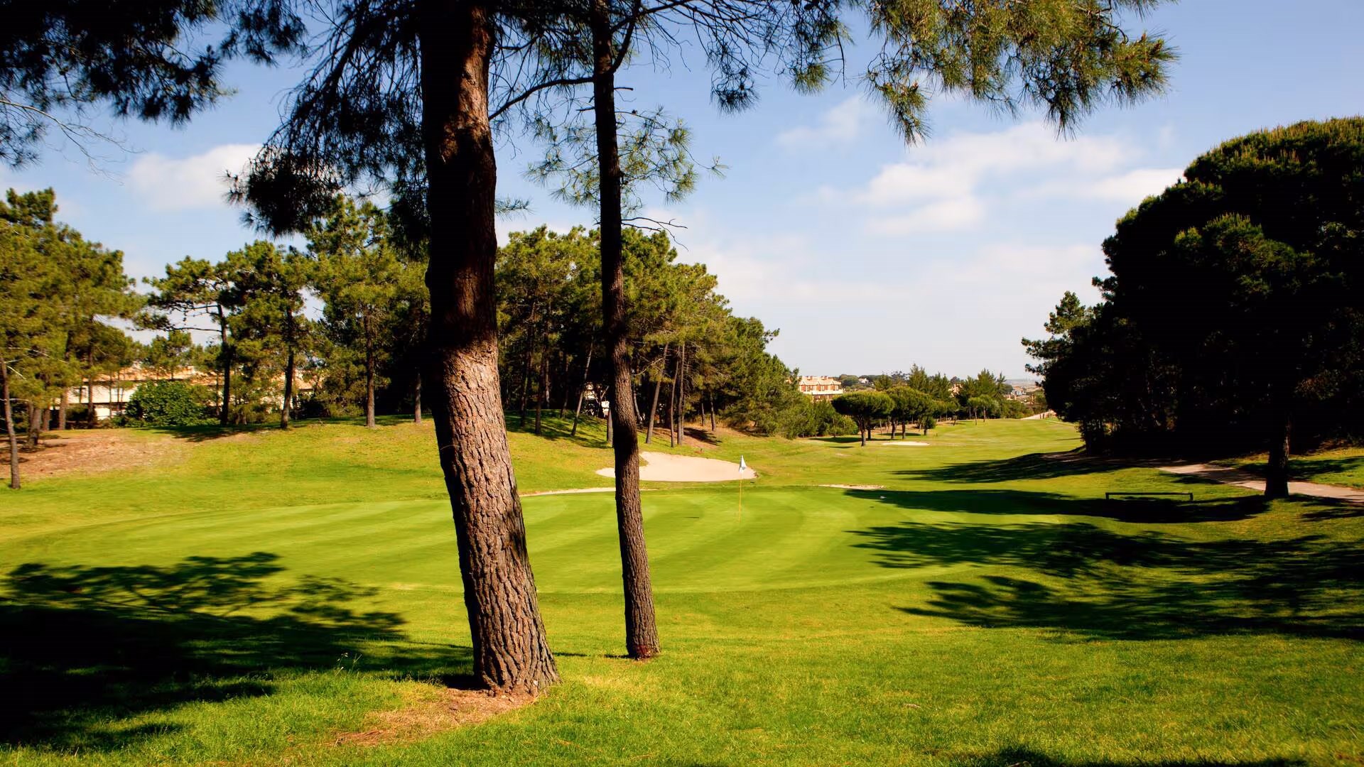 #altIMG Golf in Hotel# DoubleTree by Hilton Islantilla Beach Golf Resort #altIMG in# Huelva, Spain - #altIMG Image# 5