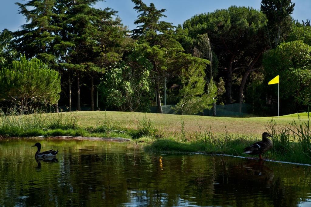 #altIMG Hotel# Palacio Estoril Golf & Wellness Hotel #altIMG in# Lisbon, Portugal - #altIMG Image# 3