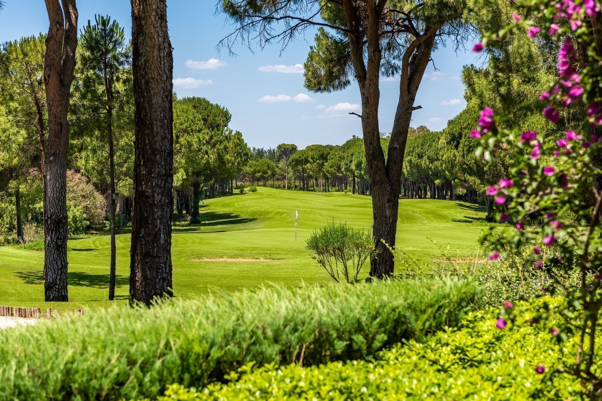 #altIMG Golf in Hotel# Paloma Sencia Hotel #altIMG in# Antalya, Turkey - #altIMG Image# 7
