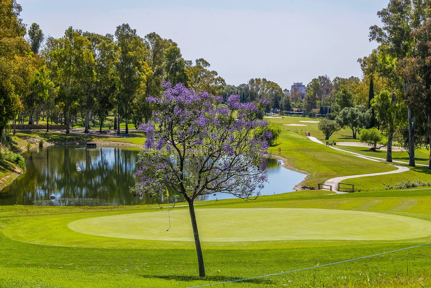 #altIMG Hotel# Sol Marbella Estepona · Atalaya Park #altIMG in# Malaga, Spain - #altIMG Image# 5